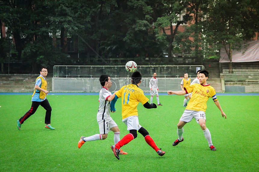 的培养到整 的培养到整