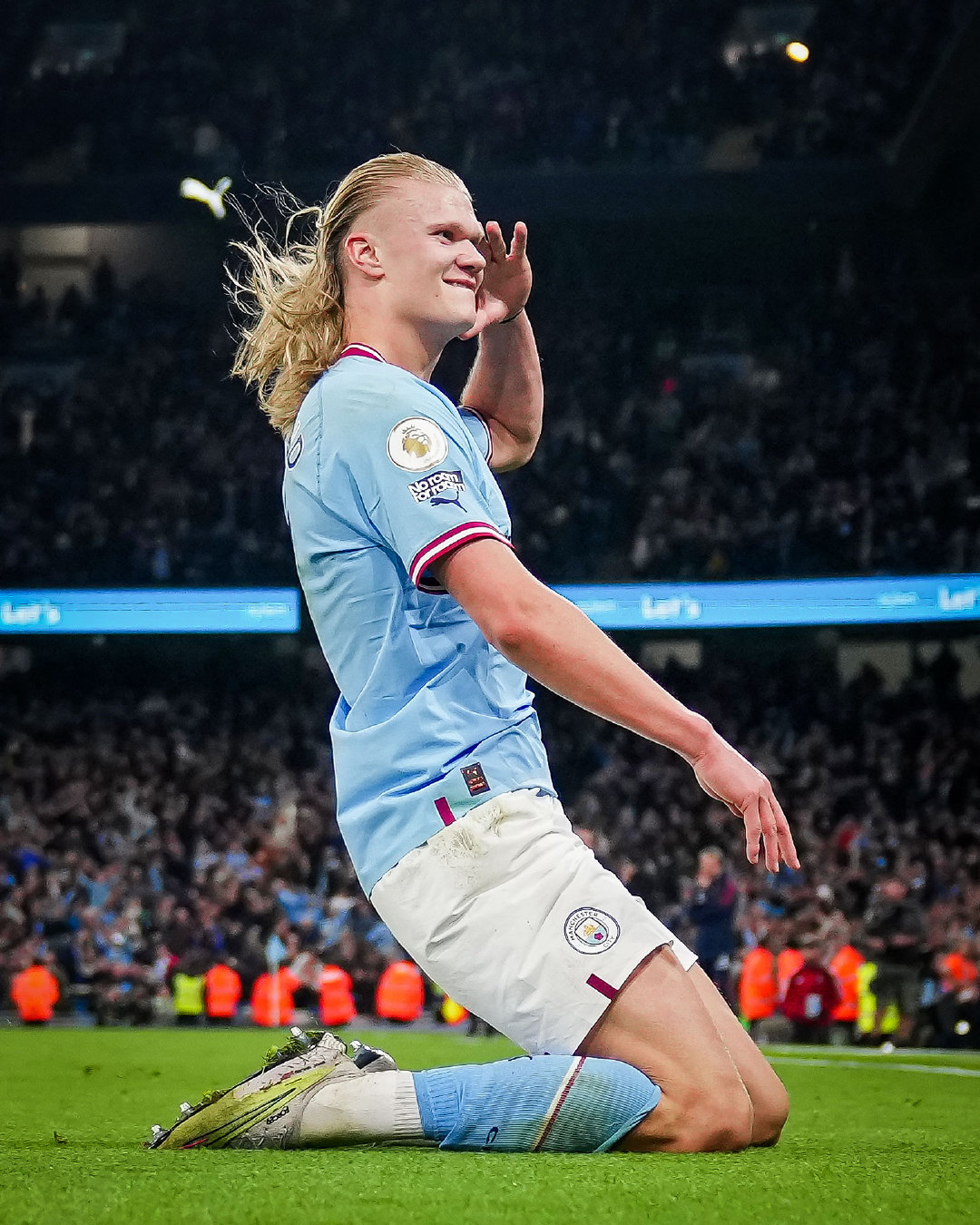 金路径为基 金路径为基